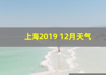 上海2019 12月天气